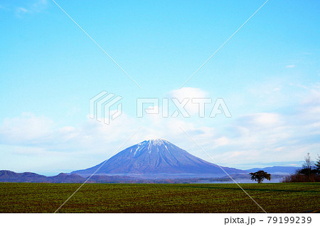 うっすら雪が降った羊蹄山 北海道 うっすら雪が降った羊蹄山 北海道 79199239