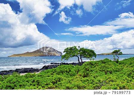 ハワイ オアフ島 マカプウビーチパークとラビット島 ハワイ オアフ島 マカプウビーチパークとラビット島 79199773