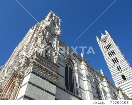 イタリア/シエナ　青空に映えるシエナ大聖堂を見上げる 79200108