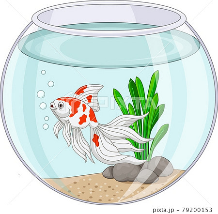 Cartoon goldfish swimming in fishbowl 79200153