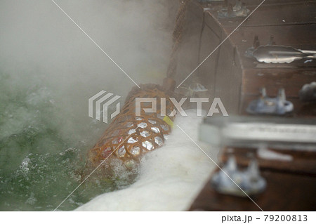 台湾 とうもろこし トウモロコシ 79200813