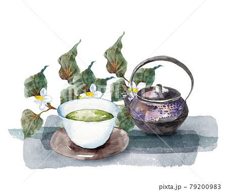 ドクダミとお茶セットの水彩画 ドクダミとお茶セットの水彩画 79200983