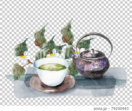ドクダミとお茶セットの水彩画 ドクダミとお茶セットの水彩画 79200983