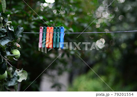 Clothespins on a rope hanging outside house and apple tree 79201554