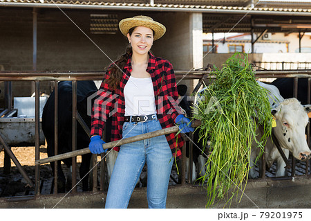 Young girl farmer feeding cows on dairy farm Young girl farmer feeding cows on dairy farm 79201975