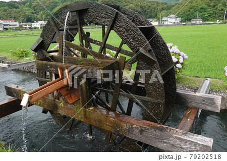 梅雨時の安並水車 梅雨時の安並水車 79202518