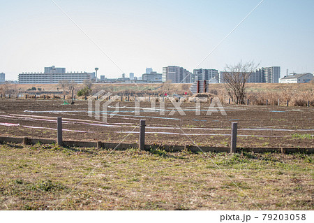 足立区立都市農業公園／東京都足立区鹿浜 79203058