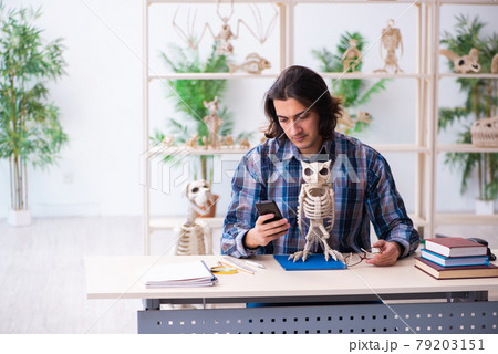 Young male teacher paleontologist in the classroom Young male teacher paleontologist in the classroom 79203151