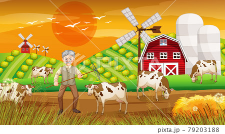 Farm at sunset time scene with old farmer man and farm animals 79203188