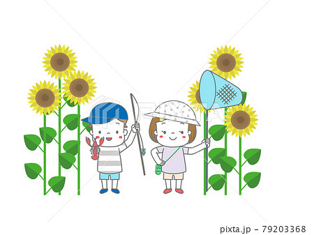 ザリガニ釣り、虫捕りをする子供たちとひまわりの花 79203368