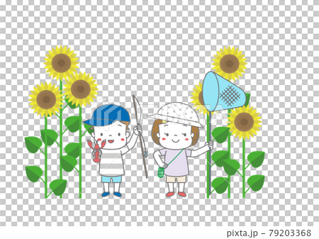 ザリガニ釣り、虫捕りをする子供たちとひまわりの花 79203368