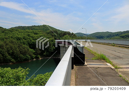 初夏の綱取大橋 79203409