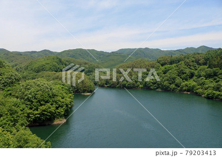 綱取大橋から望む綱取ダムのダム湖（大葛川） 79203413