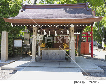 富岡八幡宮 東京都江東区 富岡八幡宮 東京都江東区 79204299