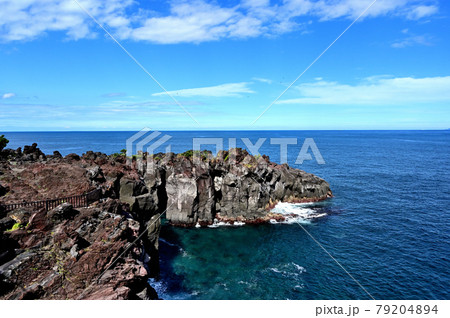 静岡県(城ヶ崎)初夏の城ヶ崎海岸 静岡県(城ヶ崎)初夏の城ヶ崎海岸 79204894