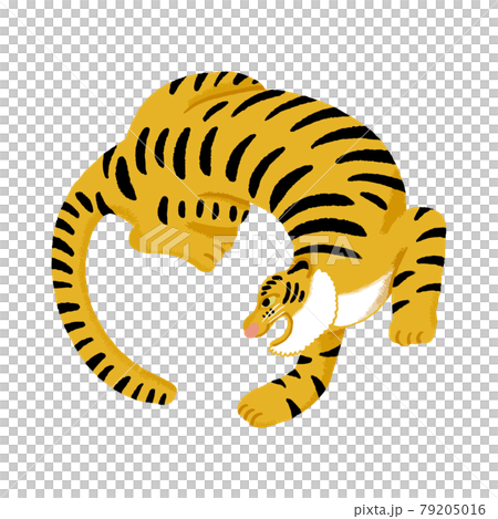 ゆるい虎の全身イラストのイラスト素材