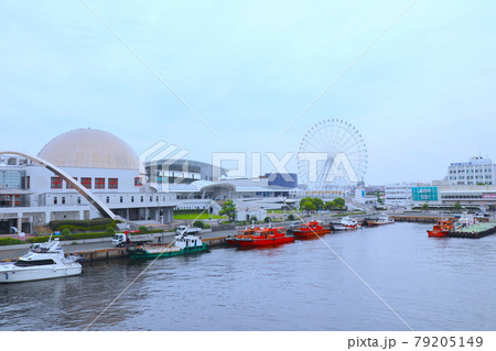 名古屋港水族館(名古屋港ガーデンふ頭) 名古屋港水族館(名古屋港ガーデンふ頭) 79205149