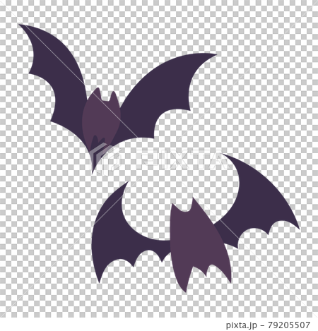 Bats illustration 79205507