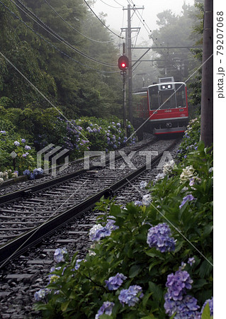 ［OH］箱根登山鉄道1000形 79207068