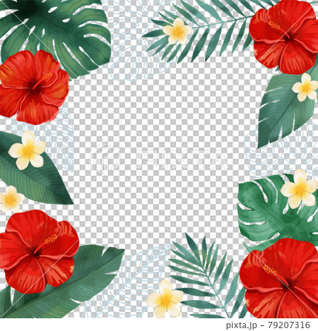 熱帯植物 ハイビスカスとプルメリアのフレームのイラスト素材