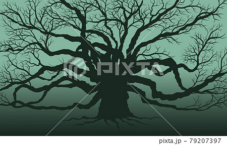 big trees dead 79207397