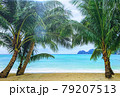 Tropical beach with coconut palm tree and sky background.Island summer sea.Beautiful coast white sand and bluse sea. 79207513