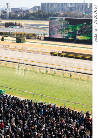東京競馬場　群衆　縦 79207667