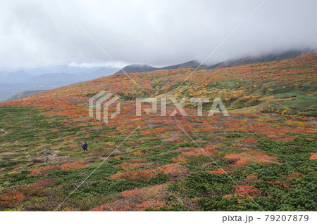 栗駒山の紅葉 東栗駒コース 栗駒山の紅葉 東栗駒コース 79207879