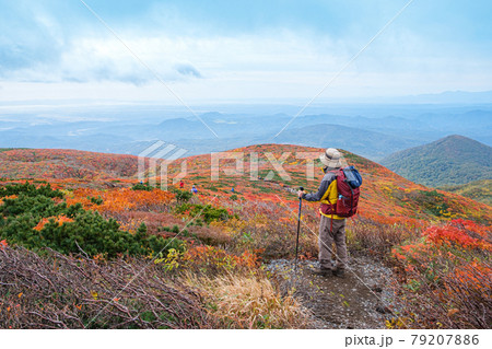 栗駒山の紅葉 中央コース上部 栗駒山の紅葉 中央コース上部 79207886