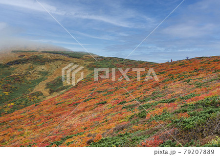 栗駒山の紅葉　中央コース 79207889