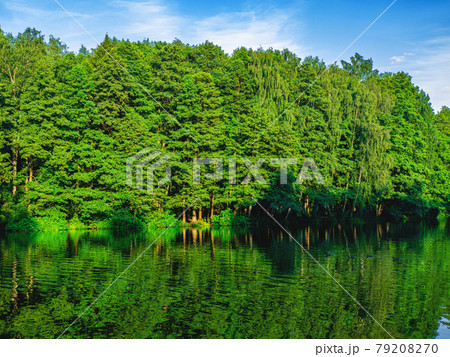 The beautiful and peaceful view on the river and green trees on its brink. 79208270