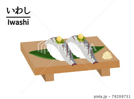 寿司屋のイワシのイラスト 79209731