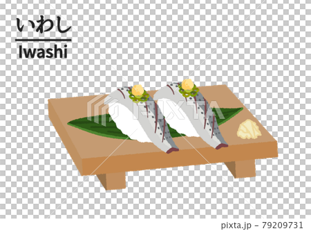 寿司屋のイワシのイラスト 79209731