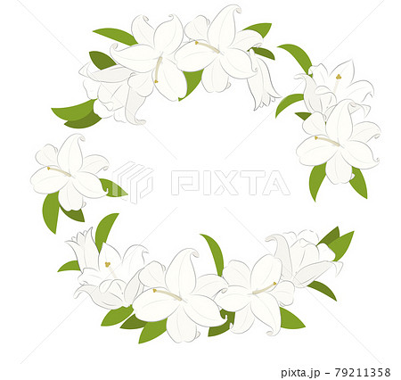 白百合の花のリース イラストのイラスト素材