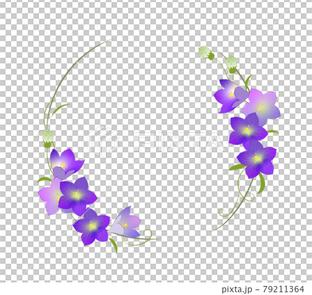 キキョウの花リース イラストのイラスト素材