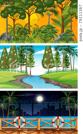 Set of different types of forest horizontal scenes Set of different types of forest horizontal scenes 79211367