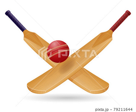 Bat For Playing Cricket Sport Vector Illustrationのイラスト素材