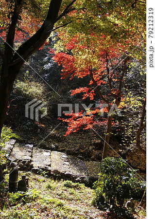 定光寺山の紅葉風景 79212319