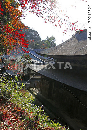 定光寺山の紅葉風景 定光寺山の紅葉風景 79212320