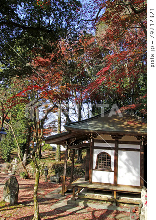定光寺山の紅葉風景 定光寺山の紅葉風景 79212321
