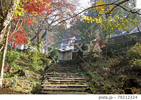 定光寺山の紅葉風景 79212324