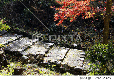 定光寺山の紅葉風景 79212325