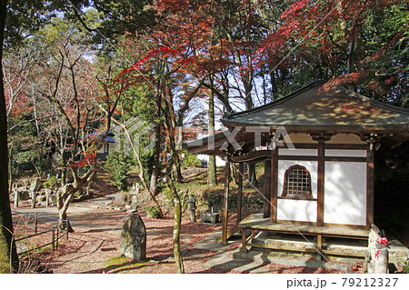 定光寺山の紅葉風景 79212327