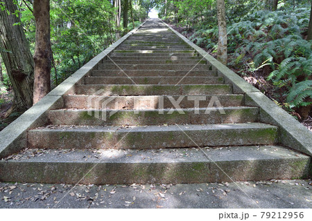 2021年新緑に映える豊臣秀吉の墓所 京都「豊国廟(阿弥陀ヶ峰 山頂)」 2021年新緑に映える豊臣秀吉の墓所 京都「豊国廟(阿弥陀ヶ峰 山頂)」 79212956