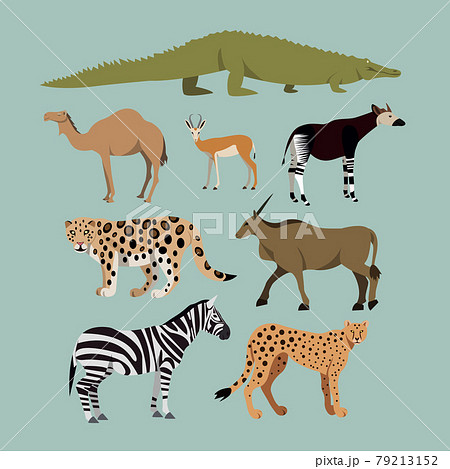Vector Set Of Different African Animals. Animals of the African savanna Dromedary camel, crocodile, leopard, Okapi, Cheetah, Canna, Zebra, Springbok. Vector Set Of Different African Animals. Animals of the African savanna Dromedary camel, crocodile, leopard, Okapi, Cheetah, Canna, Zebra, Springbok. 79213152