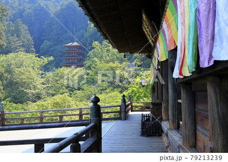 長谷寺の新緑とあじさい 79213239