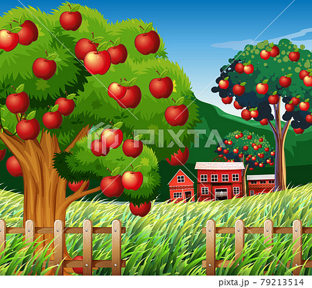 Farm scene with big apple tree 79213514