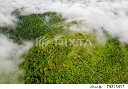 Sea of cloud 79213905