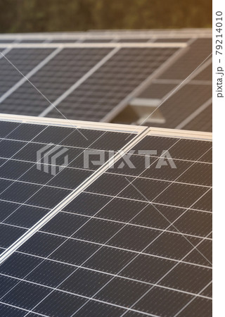 Solar panel or solars cells arrangement for green and clean future power source generation 79214010