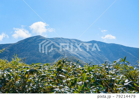 平標山・仙ノ倉山登山：松手山コースから平標山を望む 79214479